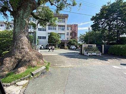 出水南小学校 550ｍ(徒歩7分)