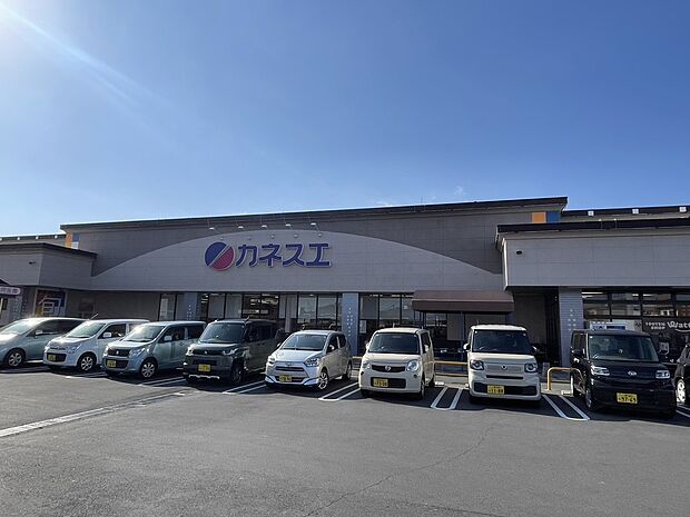 カネスエ 開明店
