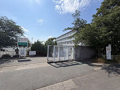 清洲小学校	 約850m(徒歩約11分)