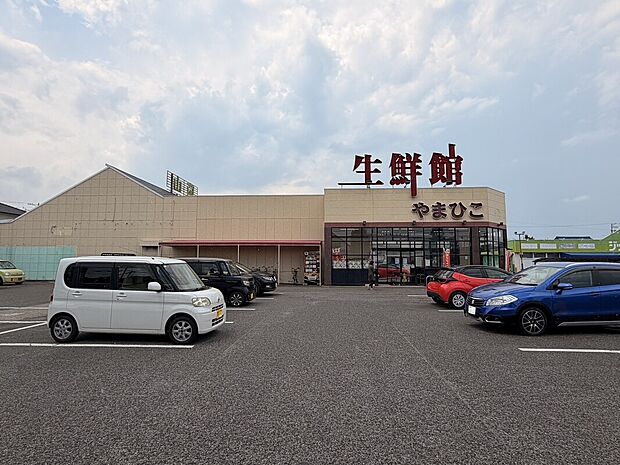 生鮮館やまひこ 南大通店