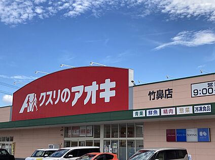 クスリのアオキ 竹鼻店 約1,150m(徒歩約15分　自転車約5分)