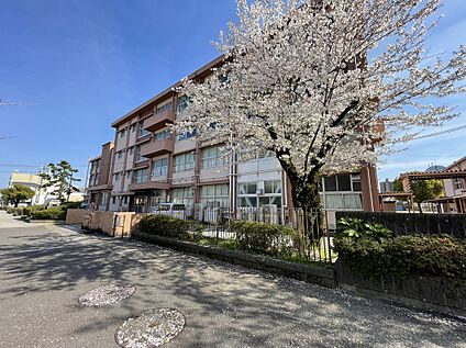 徹明さくら小学校 約540m(徒歩約7分)