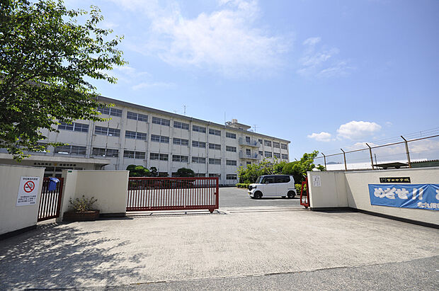 北九州市立吉田中学校(約1m)