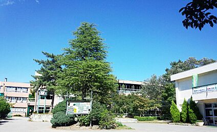 栄中学校 1100ｍ(徒歩14分)