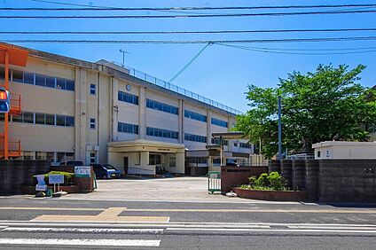深川小学校 726m(徒歩10分)