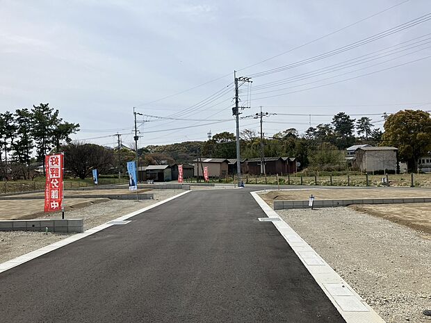 2026年4月2日撮影