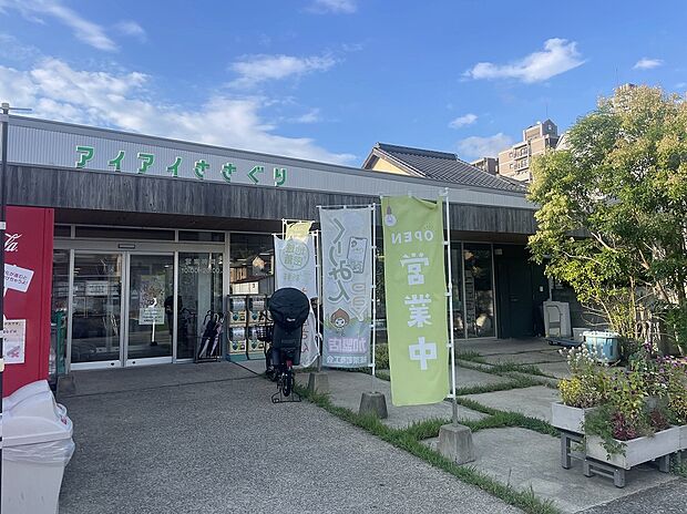 アイアイささぐり（約500m）