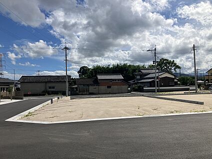 ７号地