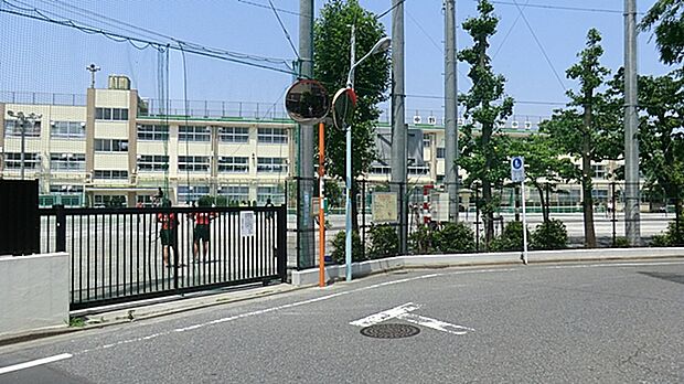 中野区立南中野中学校（約400m）