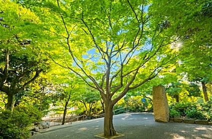 紅葉山公園 約600ｍ(徒歩約8分)