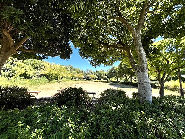 ◆竹の南公園◆（約237m）