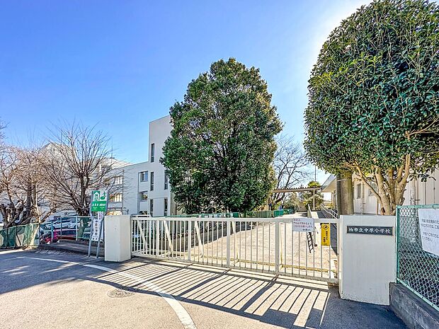 中原小学校（約860m）