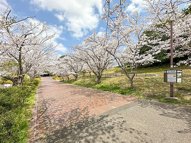 千葉県立青葉の森公園（約920m）