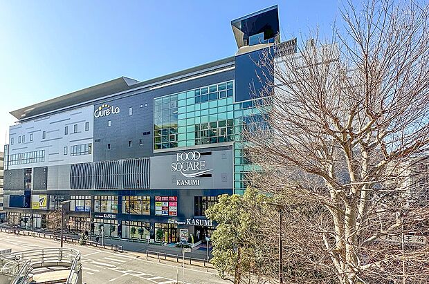 カスミフードスクエア南柏駅前店(約690m)