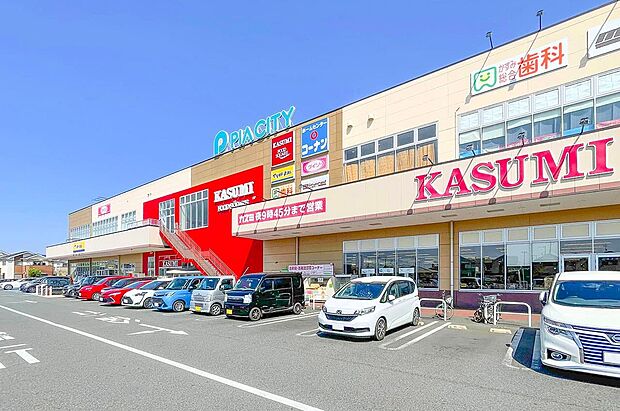 ピアシティ柏中新宿(約1,040m)