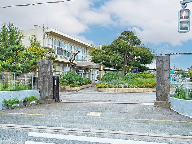 柏第二小学校（約550m）