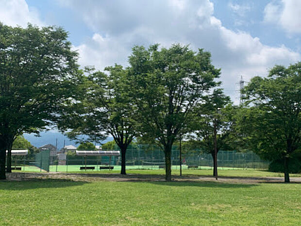 橿原運動公園 (テニスコート・野球場・公園)(約300m)