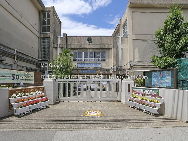 柏市立高柳小学校（約800m）