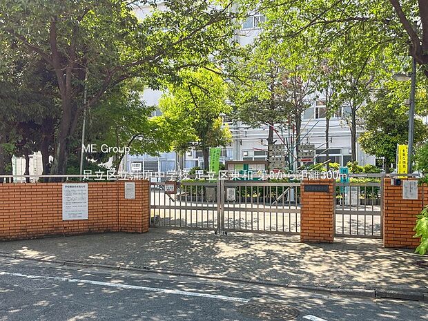 足立区立蒲原中学校(約300m・徒歩4分)