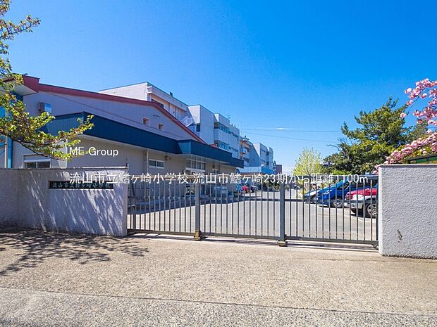 流山市立鰭ヶ崎小学校（約1,100m）