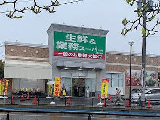 業務スーパー 越谷南店（約300m・徒歩4分）