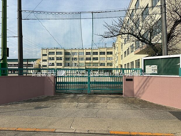 足立区立花畑北中学校(約230m・徒歩3分)