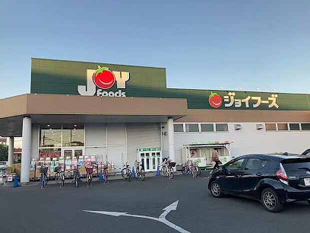 ジョイフーズ越谷大袋店（約700m）