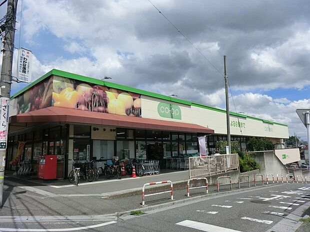 コープみらい コープ上木崎店(約519m)