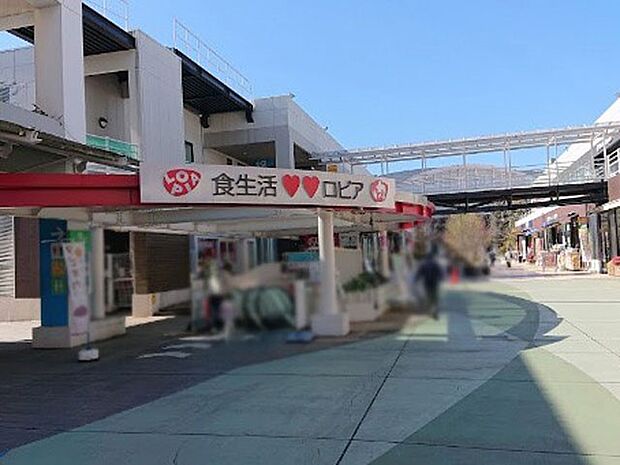 ロピア ふじみ野店（約5,100m・徒歩64分）