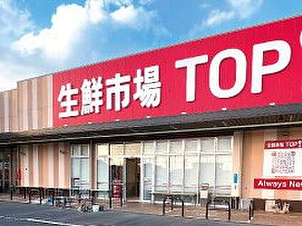 生鮮市場TOP 八潮伊草店 700m