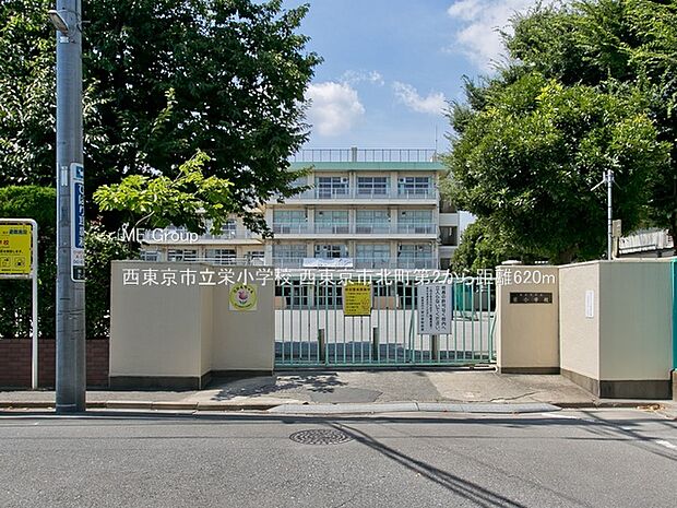 西東京市立栄小学校（約620m・徒歩8分）