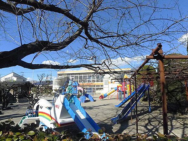 わせだ幼稚園(約500m)