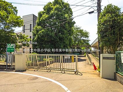 柏市立中原小学校 1200m