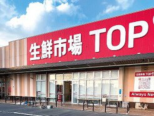 生鮮市場TOP 八潮伊草店(約400m・徒歩5分)