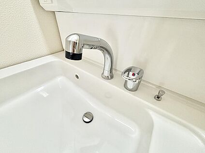その他設備(シャワー付き洗面台)