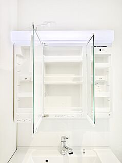 その他設備(三面鏡裏収納)