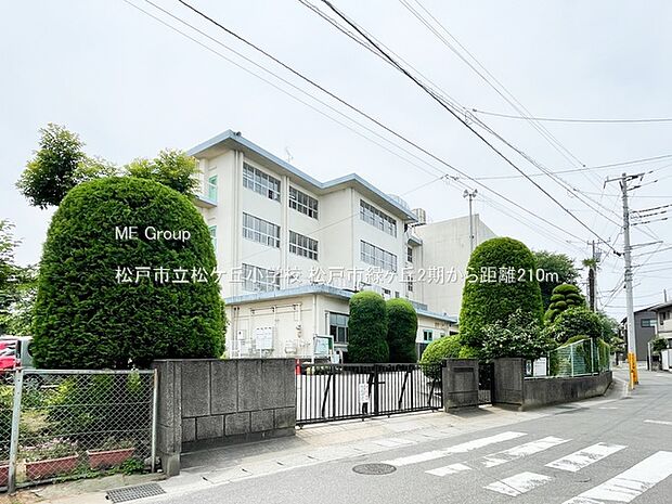 松戸市立松ケ丘小学校（約210m・徒歩3分）