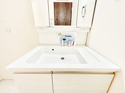 その他設備(ハンドシャワー水栓)