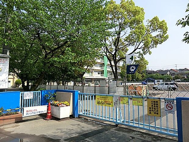 さいたま市立栄小学校（約300m）