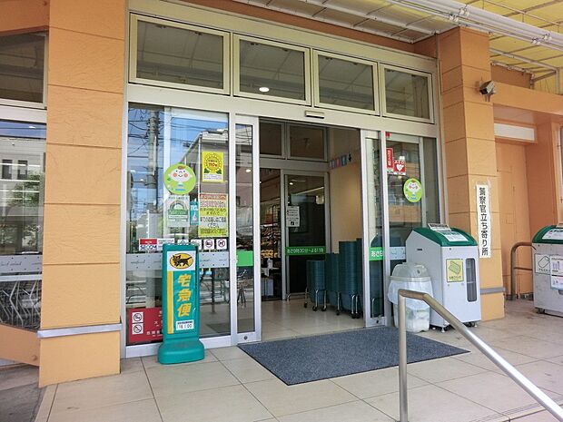 コープみらい コープ関町店(約523m)