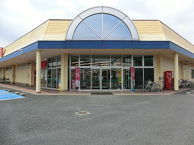 カスミ 花崎店（約1,400m）