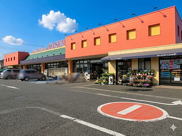 カスミ フードスクエア 白岡店（約900m・徒歩12分）