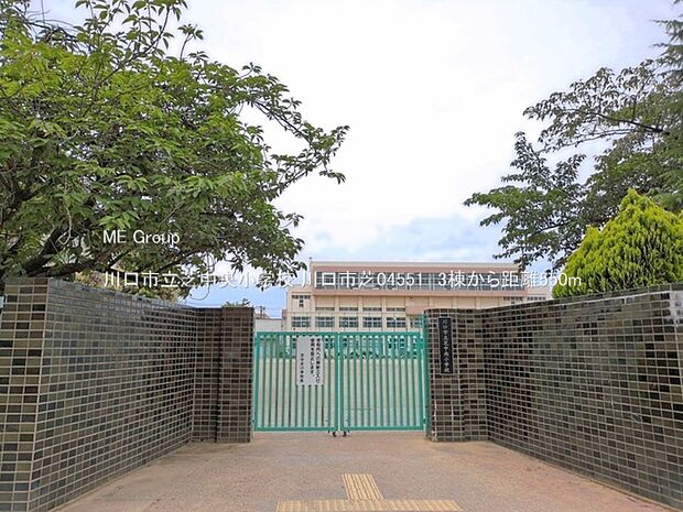 川口市立芝中央小学校(約550m・徒歩7分)