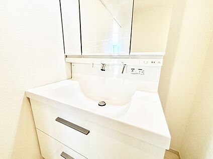 その他設備(ハンドシャワー水栓)
