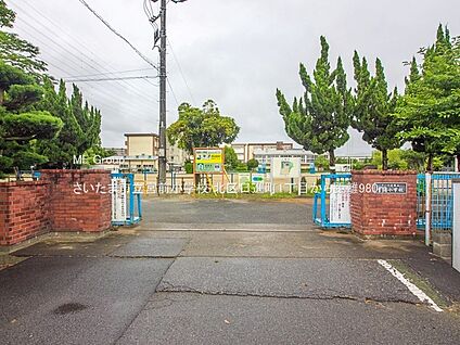 さいたま市立宮前小学校 980m(13分)
