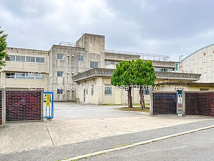 松戸市立貝の花小学校 60m