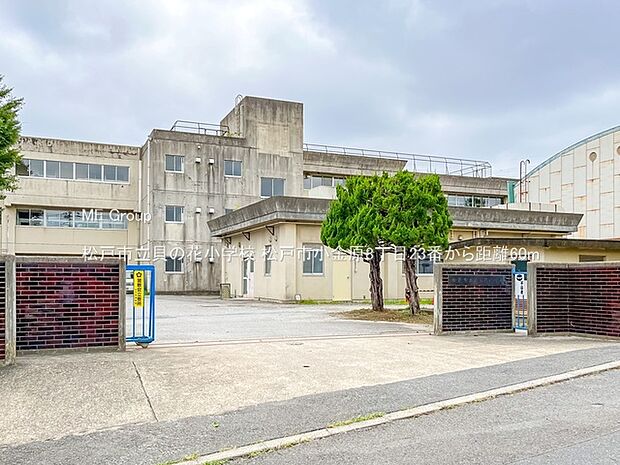 松戸市立貝の花小学校（約60m）