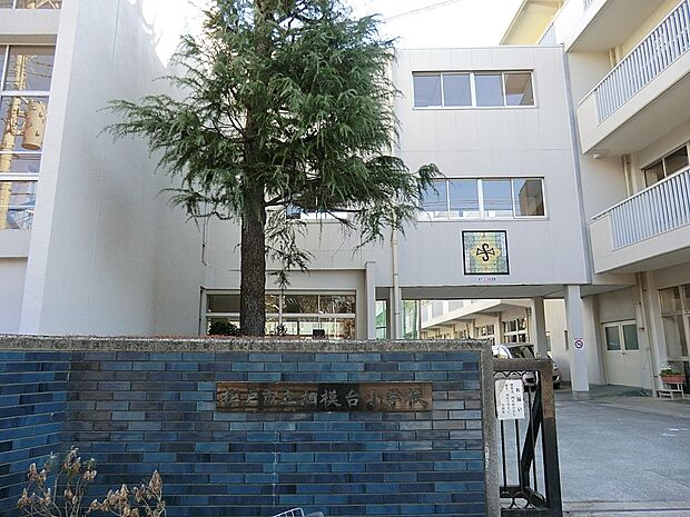 松戸市立相模台小学校（約1,000m・徒歩13分）