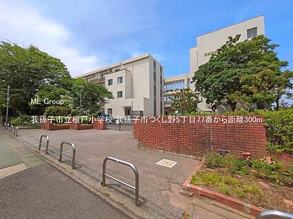 我孫子市立根戸小学校 300m