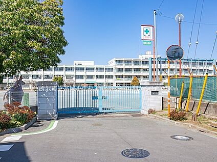 所沢市立富岡小学校 2000m